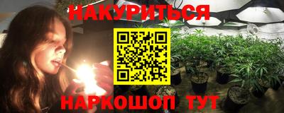 эйфоретик Владимир