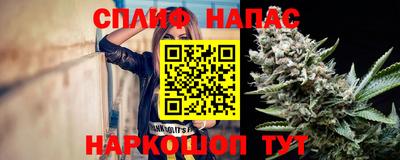 эйфоретик Владимир