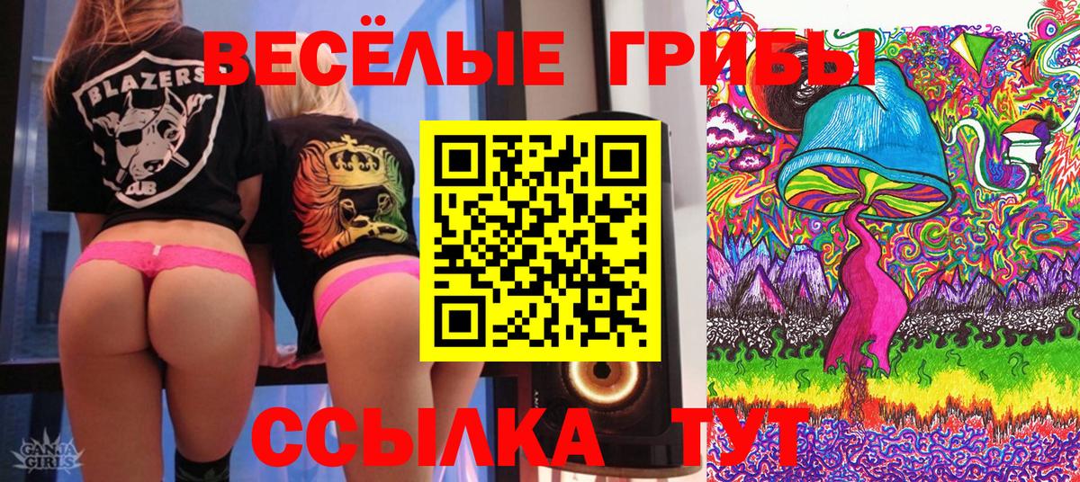купить   Псилоцибиновые грибы мицелий  Вход с VPN  Псилоцибиновые грибы Psilocybine cubensis  Большой Камень 